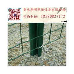 围栏网 养殖设备 荷兰网 护栏 养殖围栏网