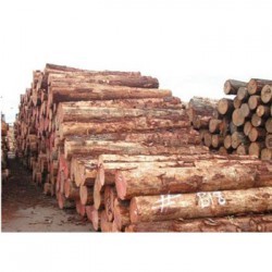 八里街收购松木企业一览表
