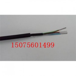苏州YFFB 2*2.5电缆型号有什么含义