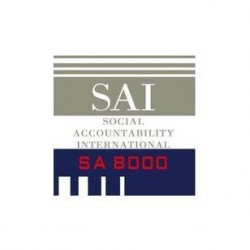 南沙区SA8000认证的审核类型
